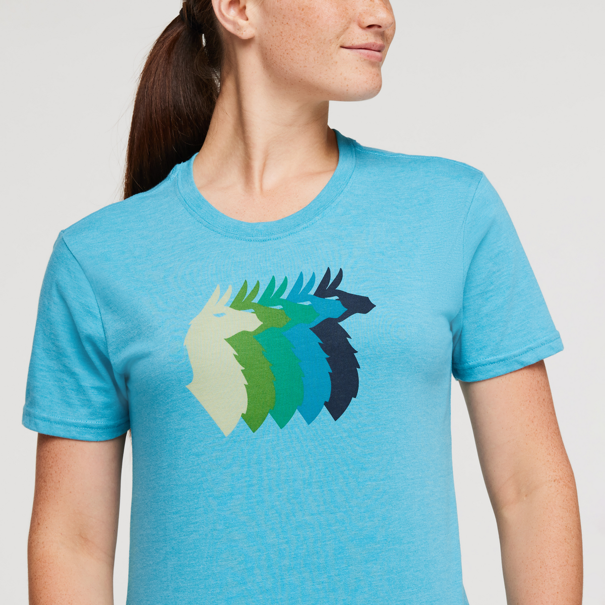 Llama Sequence T-Shirt - Women's — image 5