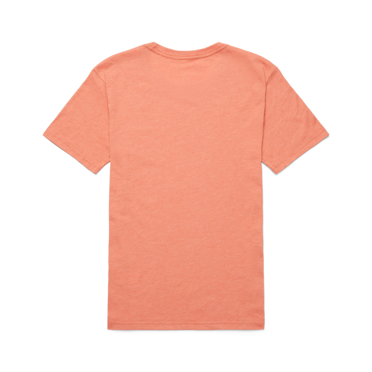 Topo Llama T-Shirt - Women's — image 18