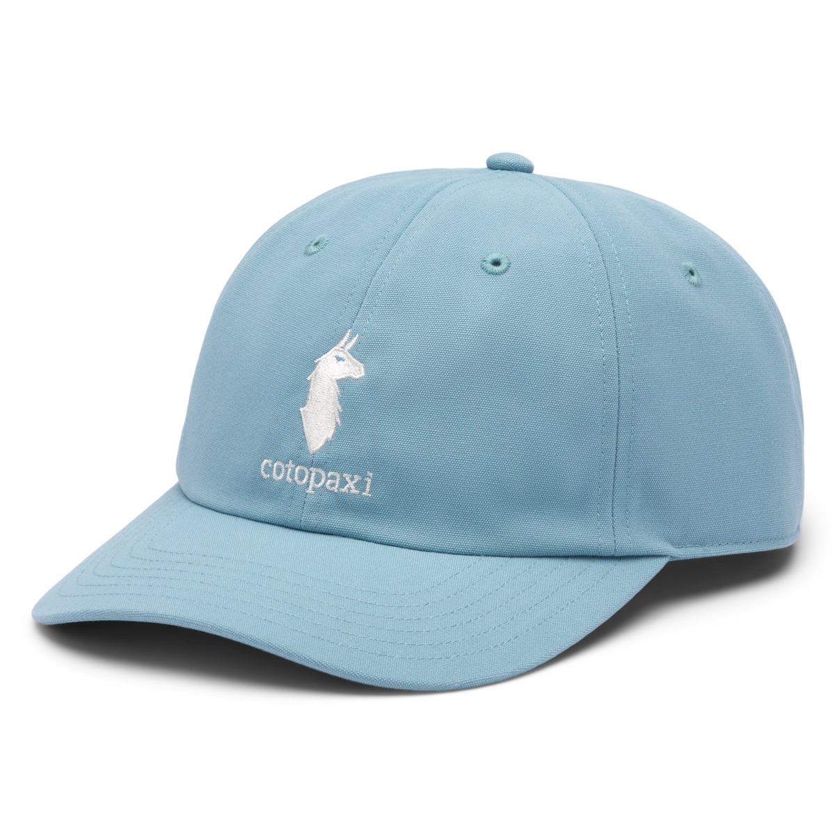 Cotopaxi Dad Hat — image 3