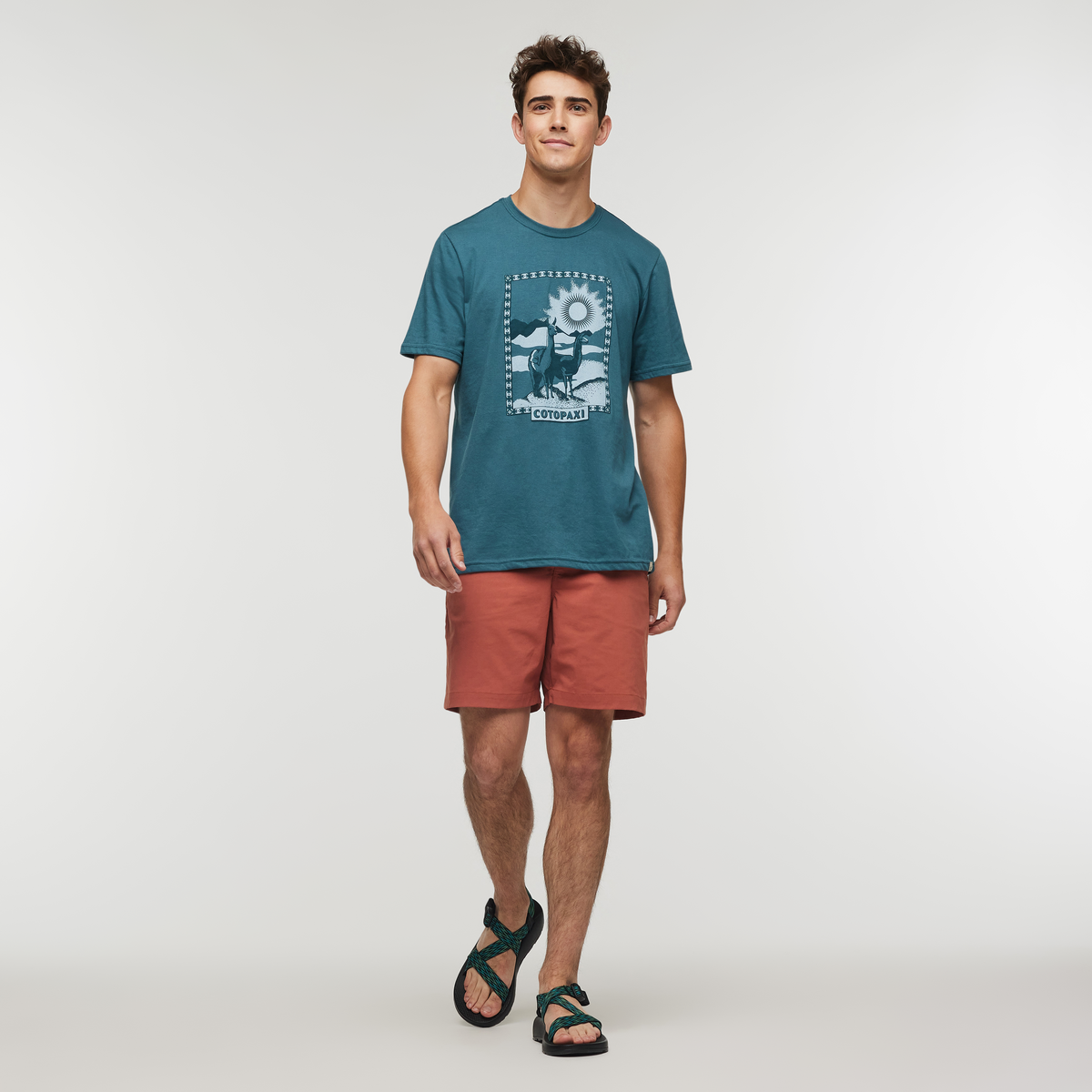 Llama Greetings T-Shirt - Men's — image 2
