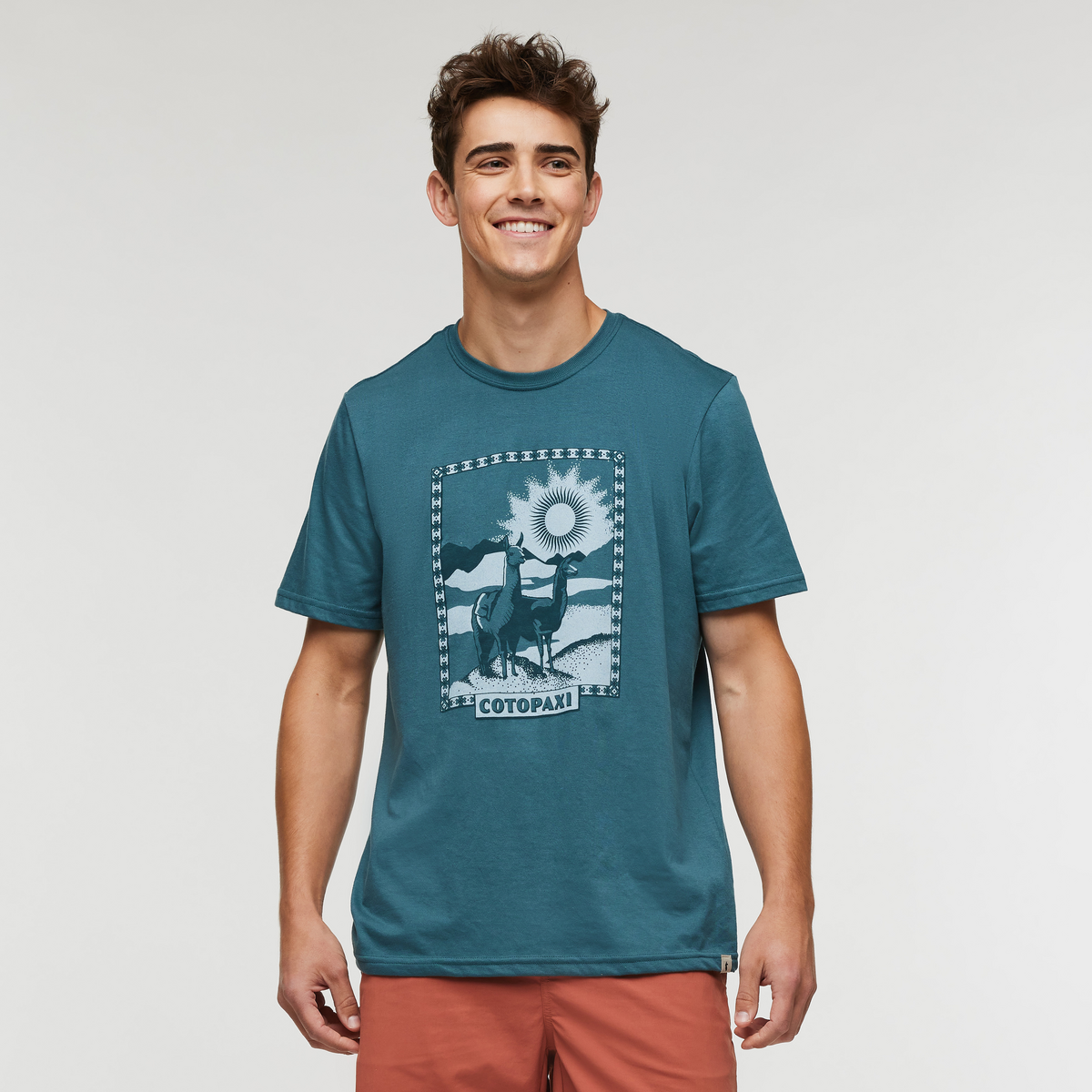 Llama Greetings T-Shirt - Men's — image 1