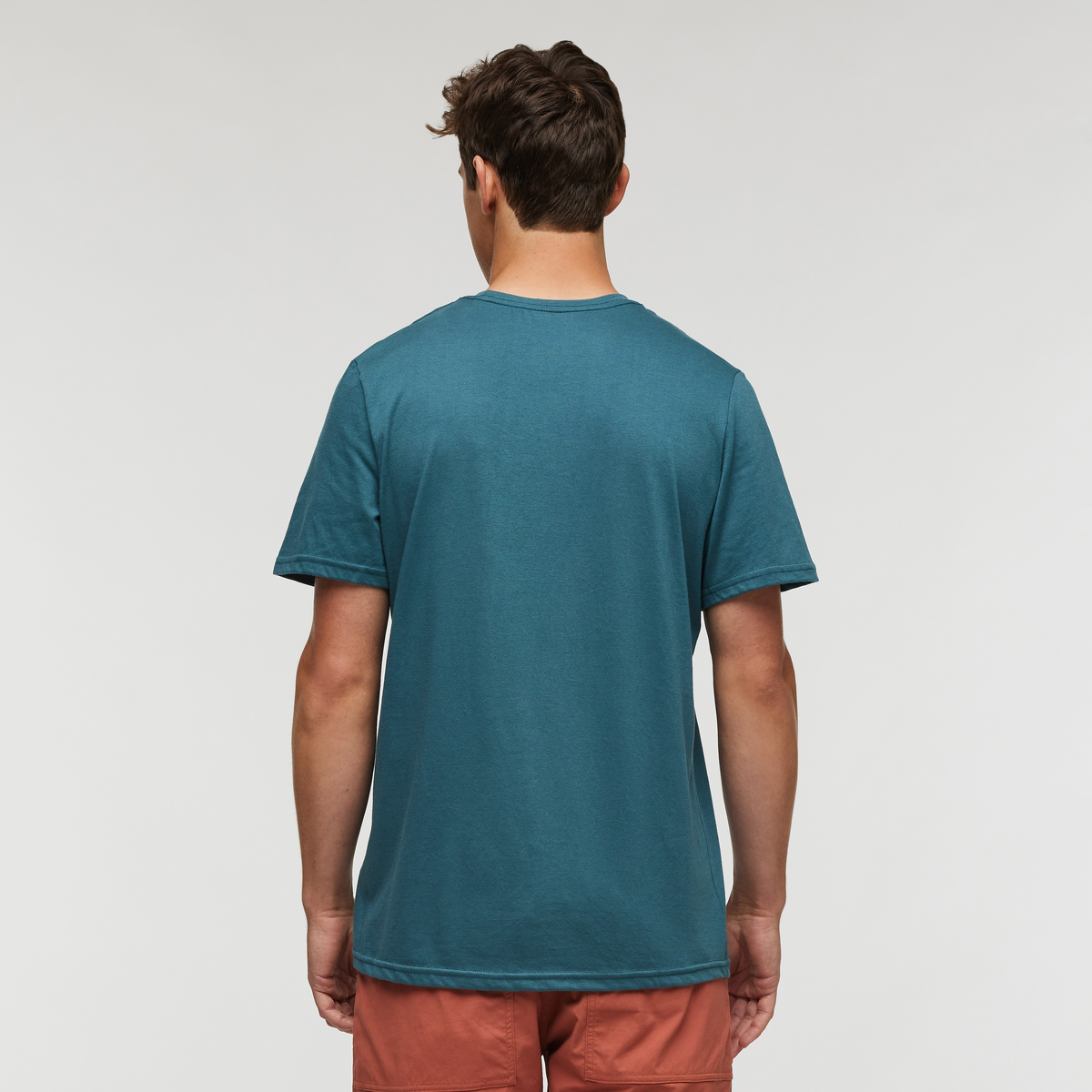 Llama Greetings T-Shirt - Men's — image 4