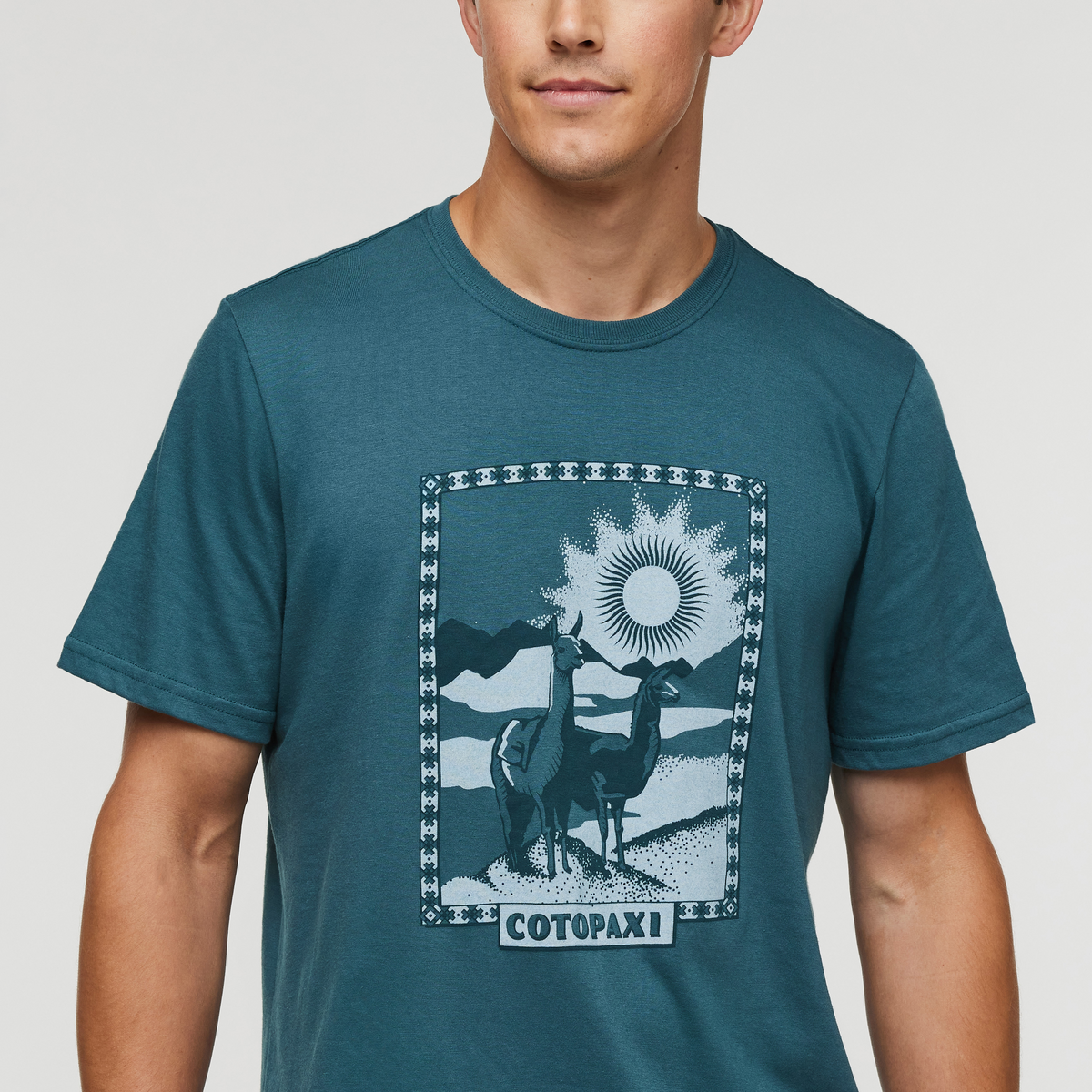 Llama Greetings T-Shirt - Men's — image 5