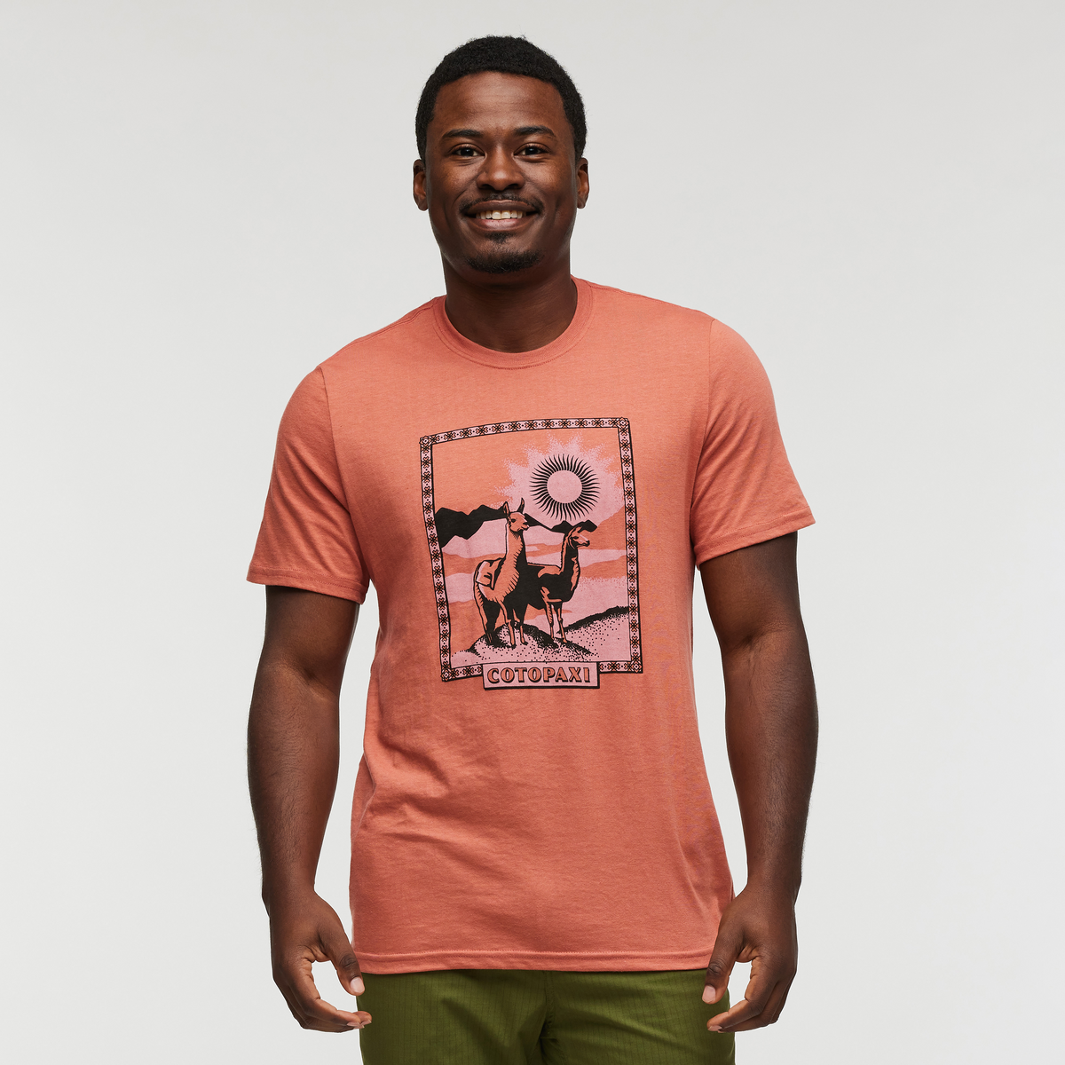 Llama Greetings T-Shirt - Men's — image 8