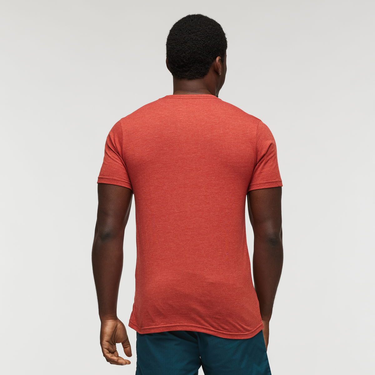 Llama Sequence T-Shirt - Men's — image 15