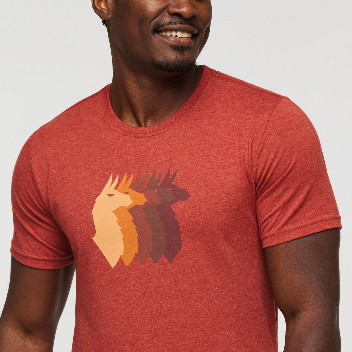 Llama Sequence T-Shirt - Men's — image 16