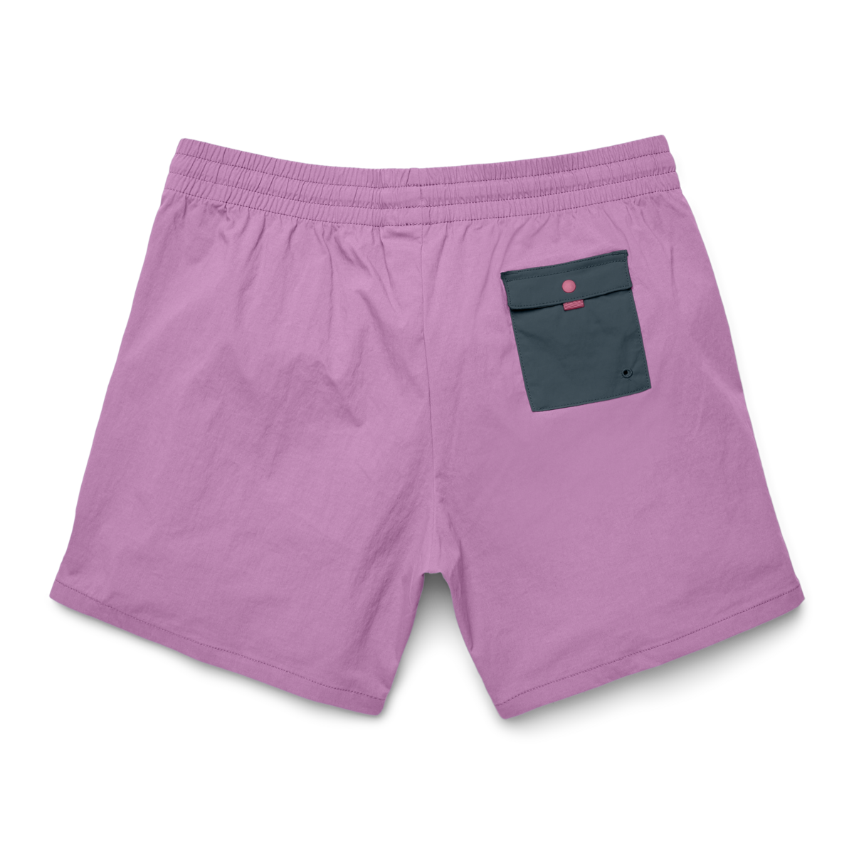 Brinco 5" Short - Solid - Women's — image 2