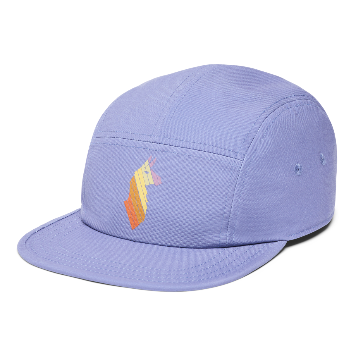 Llama Stripes 5-Panel Hat — image 5