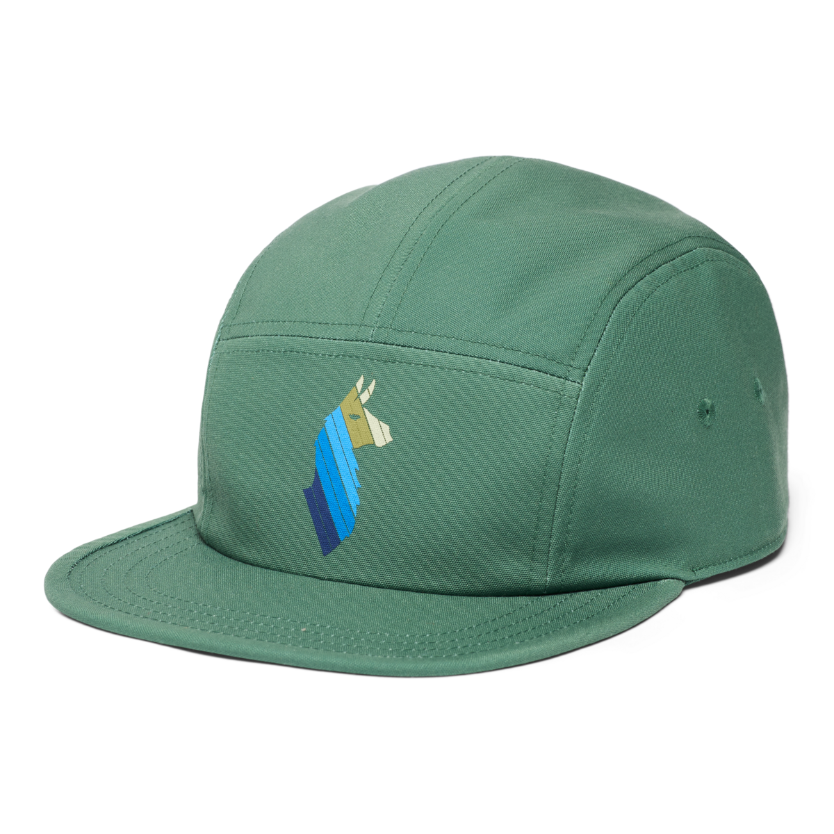 Llama Stripes 5-Panel Hat — image 1