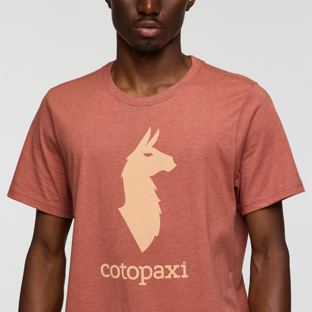 Cotopaxi Llama T-Shirt - Men's — image 13