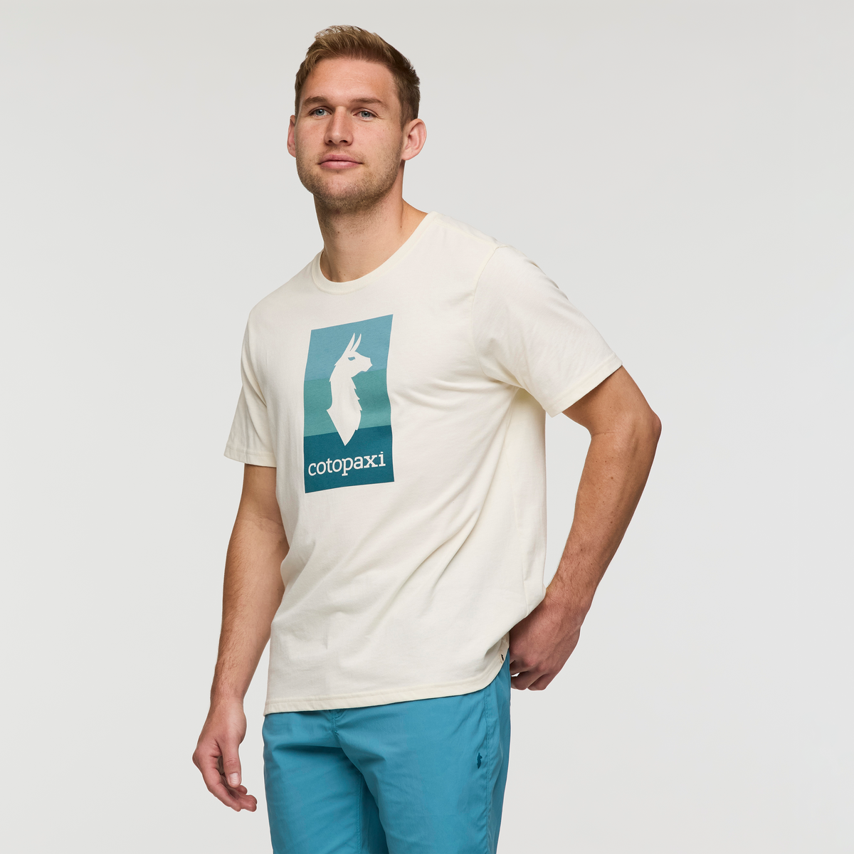 Llama Block T-Shirt - Men's — image 1