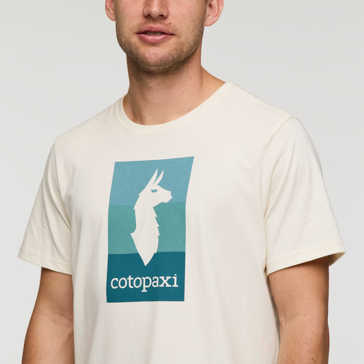 Llama Block T-Shirt - Men's — image 5