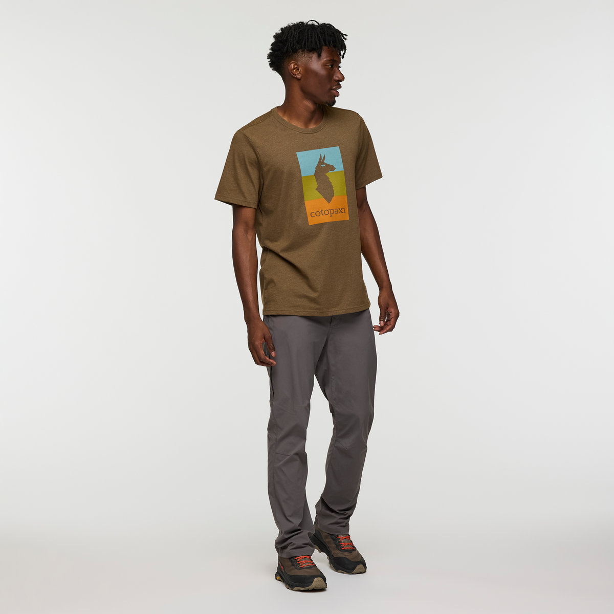 Llama Block T-Shirt - Men's — image 8