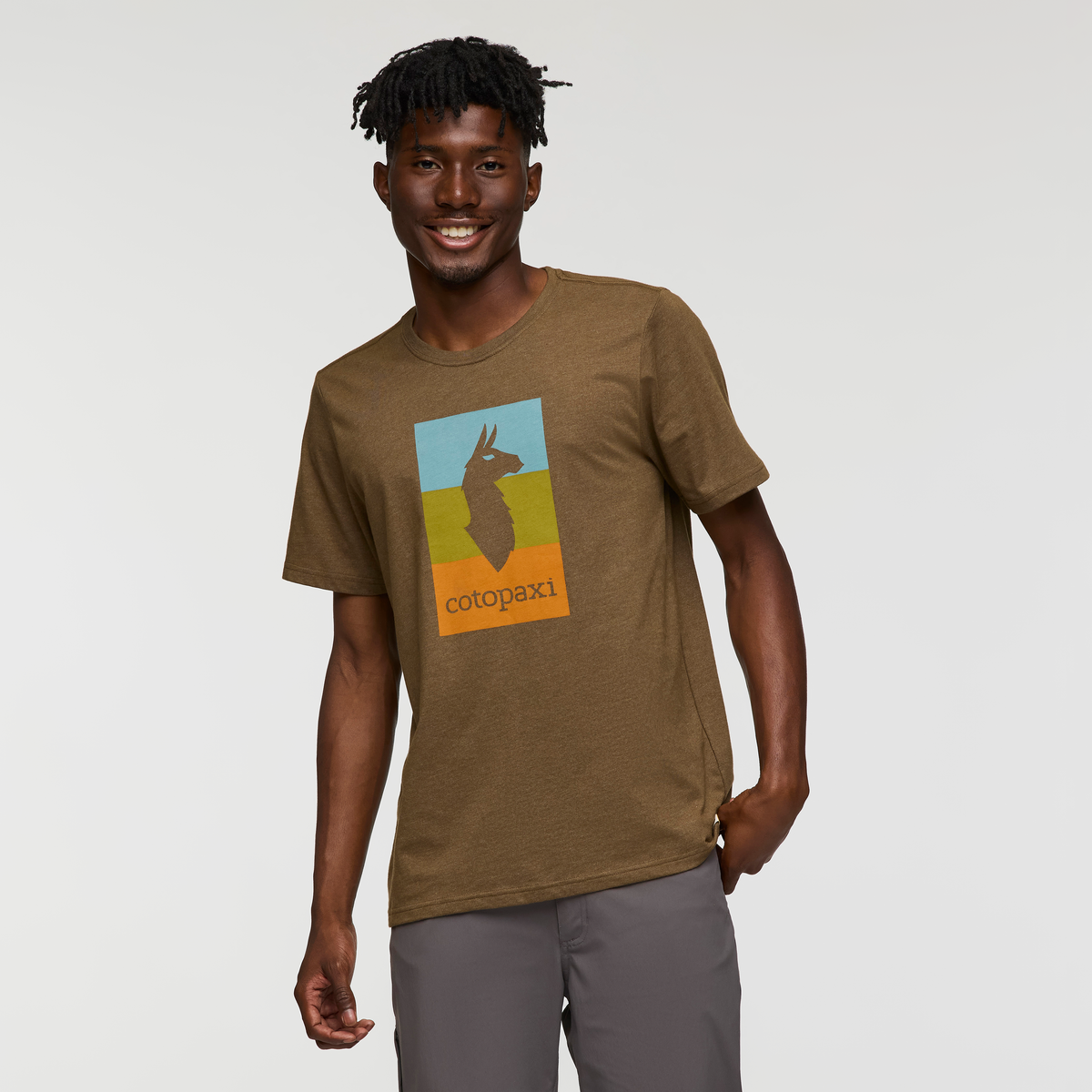Llama Block T-Shirt - Men's — image 7