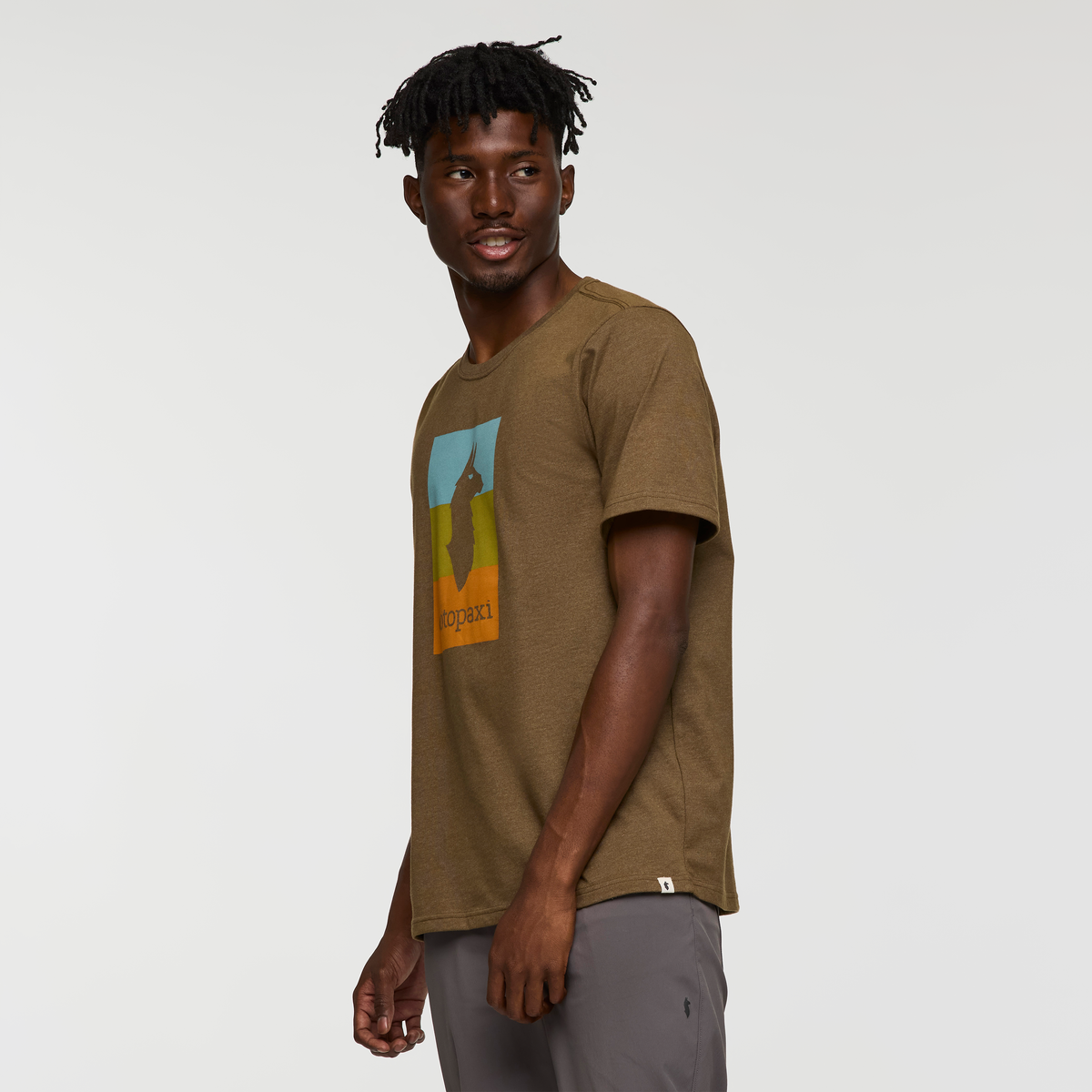 Llama Block T-Shirt - Men's — image 9