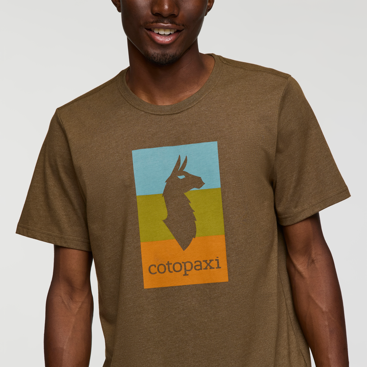 Llama Block T-Shirt - Men's — image 11