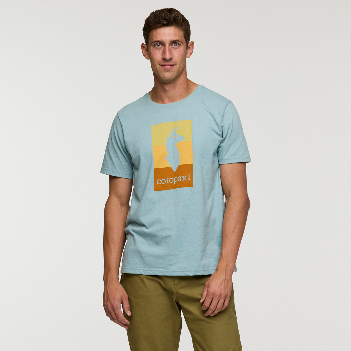 Llama Block T-Shirt - Men's — image 13