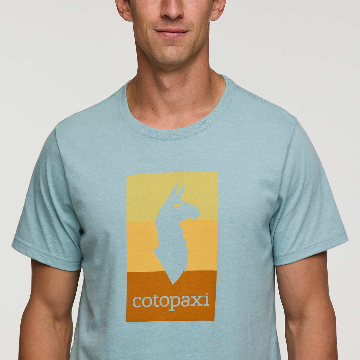 Llama Block T-Shirt - Men's — image 17