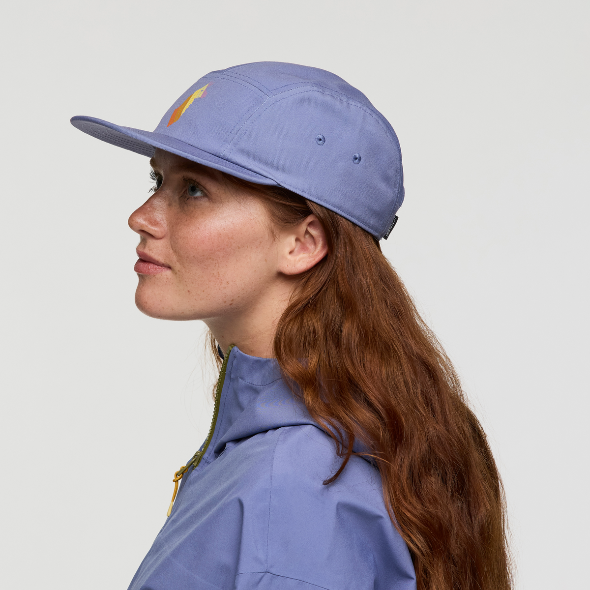 Llama Stripes 5-Panel Hat — image 8