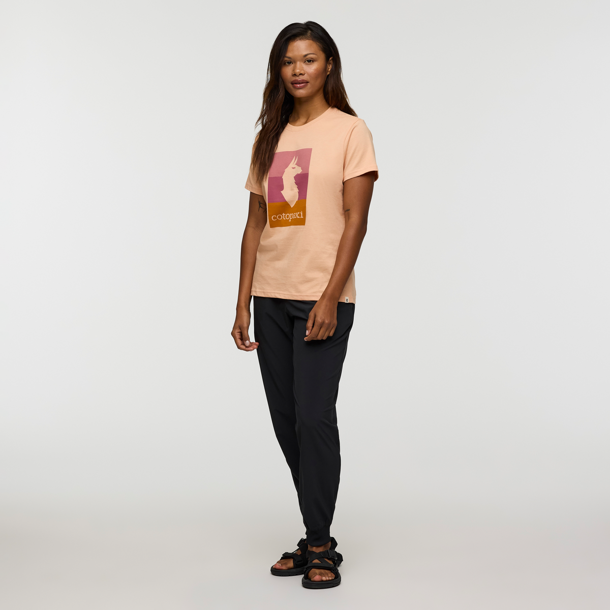 Llama Block T-Shirt - Women's — image 2