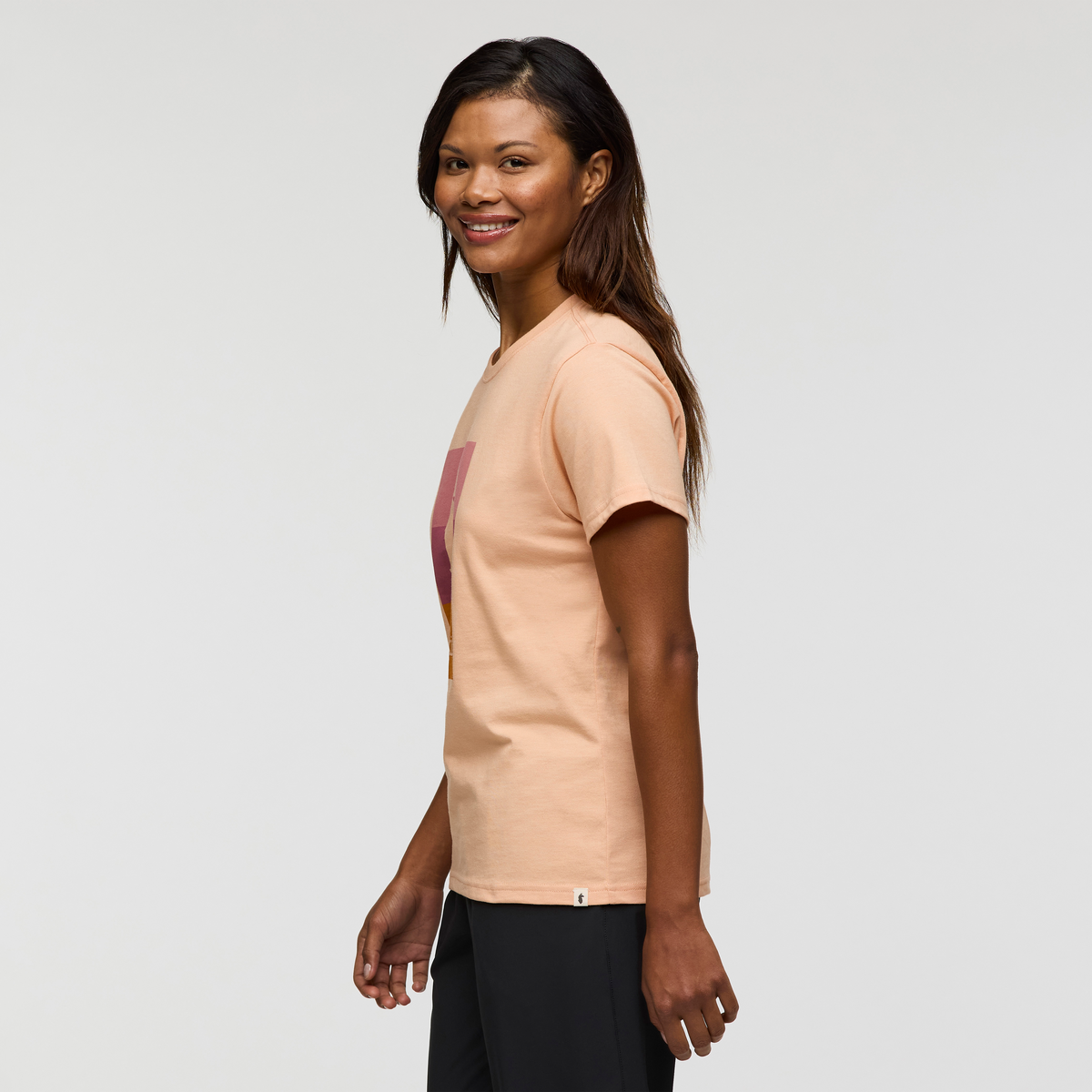 Llama Block T-Shirt - Women's — image 3