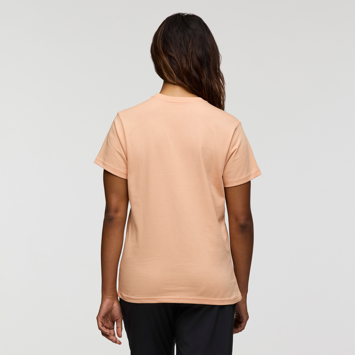Llama Block T-Shirt - Women's — image 4