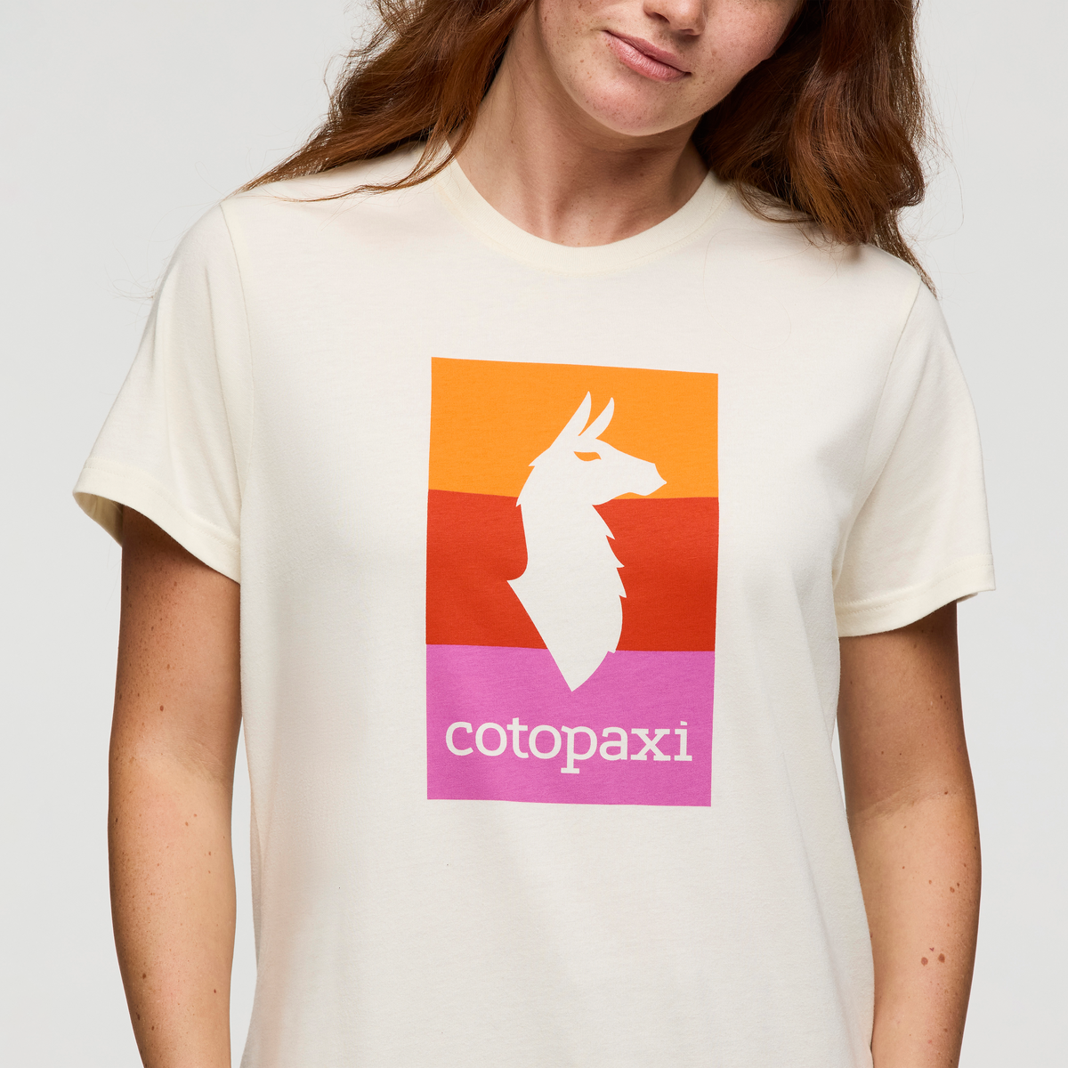 Llama Block T-Shirt - Women's — image 10