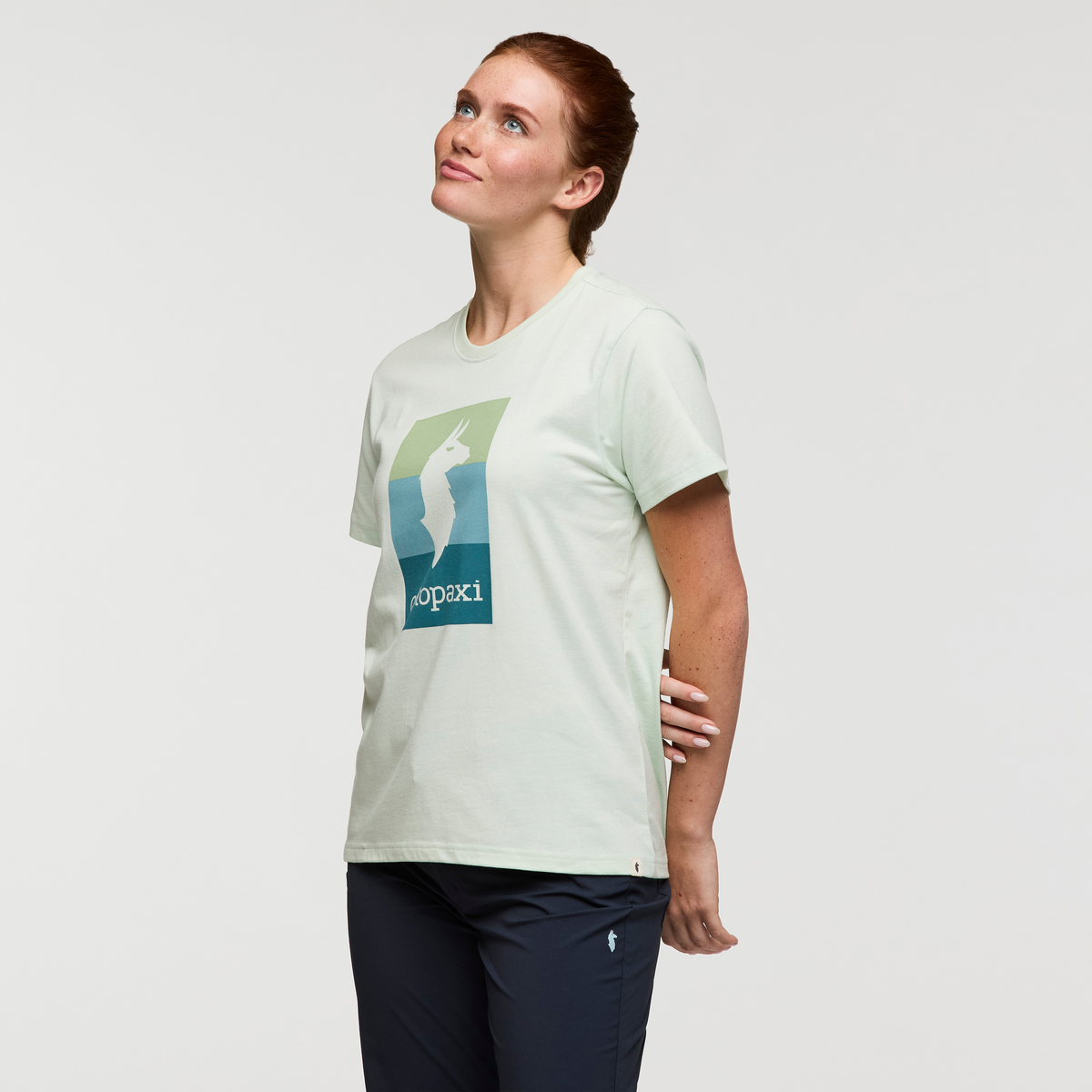 Llama Block T-Shirt - Women's — image 11