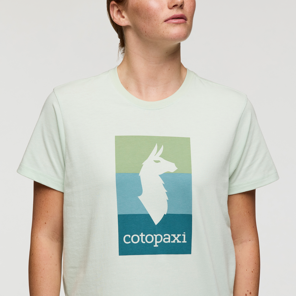Llama Block T-Shirt - Women's — image 15