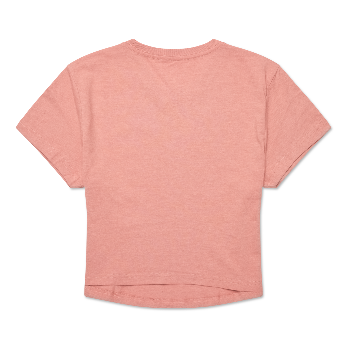 Tiny Llama Crop T-Shirt - Women's — image 4