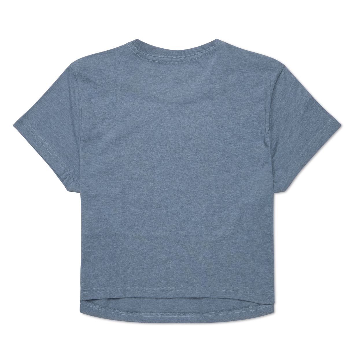 Tiny Llama Crop T-Shirt - Women's — image 2