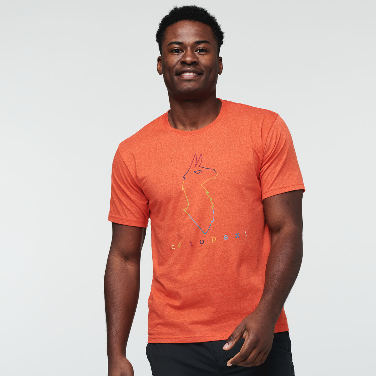 Electric Llama T-Shirt - Men's — image 4