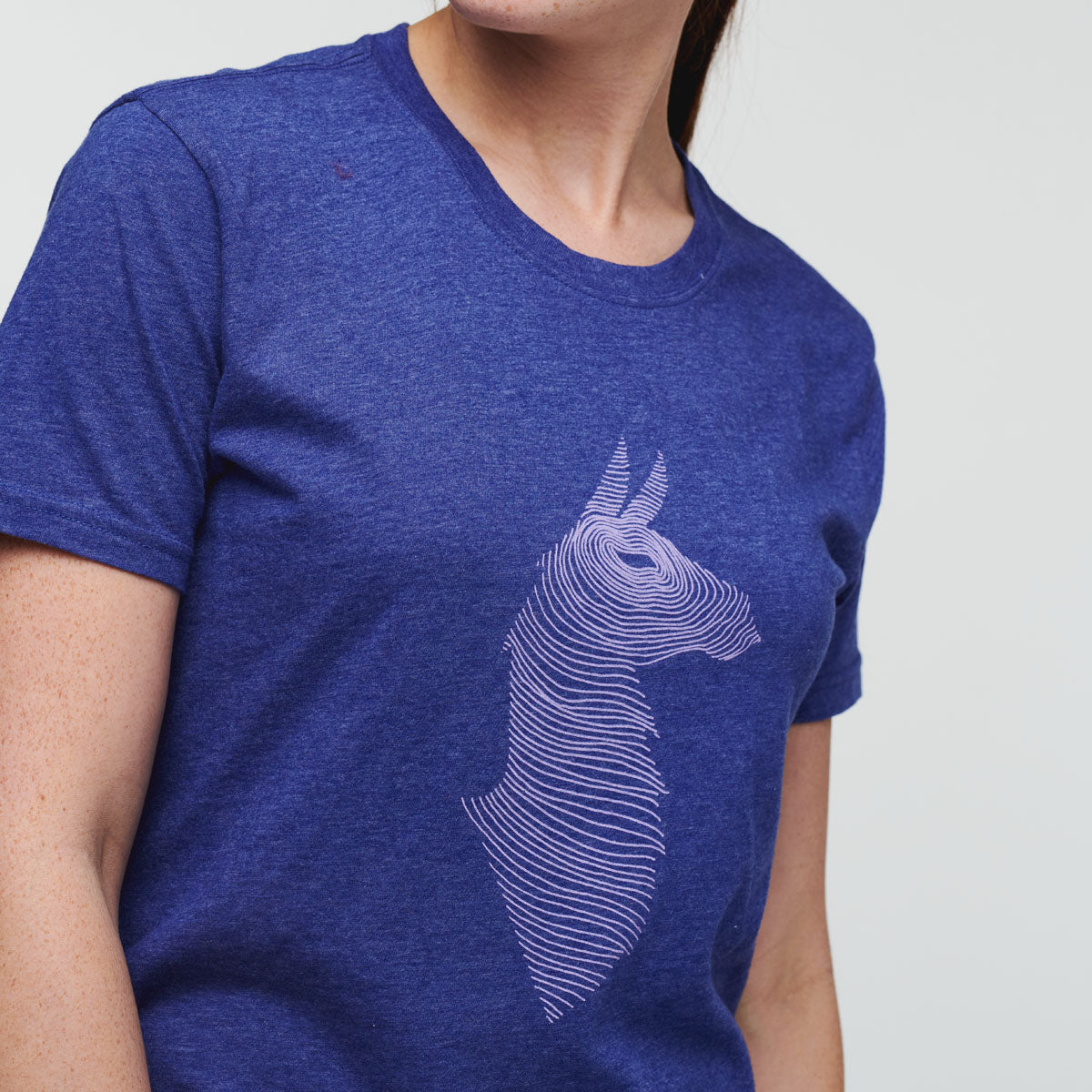 Topo Llama T-Shirt - Women's — image 5