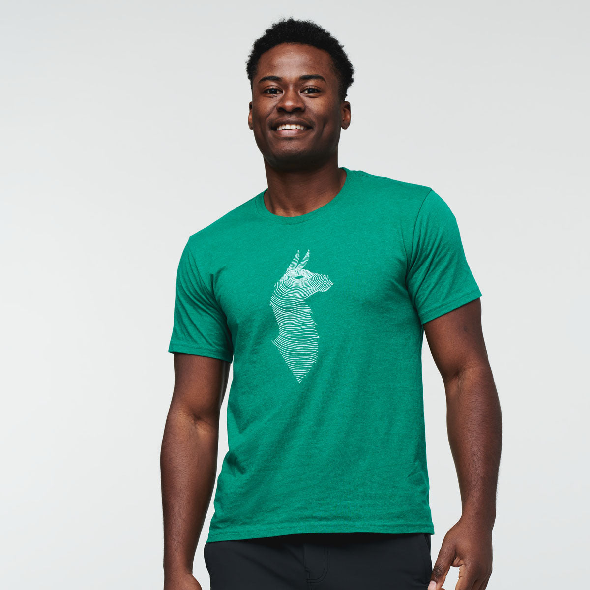 Topo Llama T-Shirt - Men's — image 1