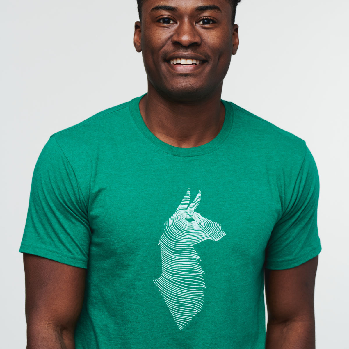Topo Llama T-Shirt - Men's — image 2