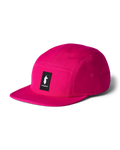 Pitaya