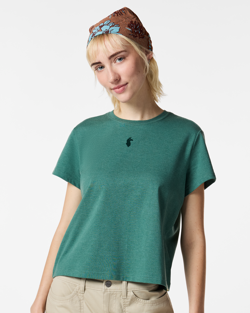 Llama Icon T-Shirt - Women's — image 11