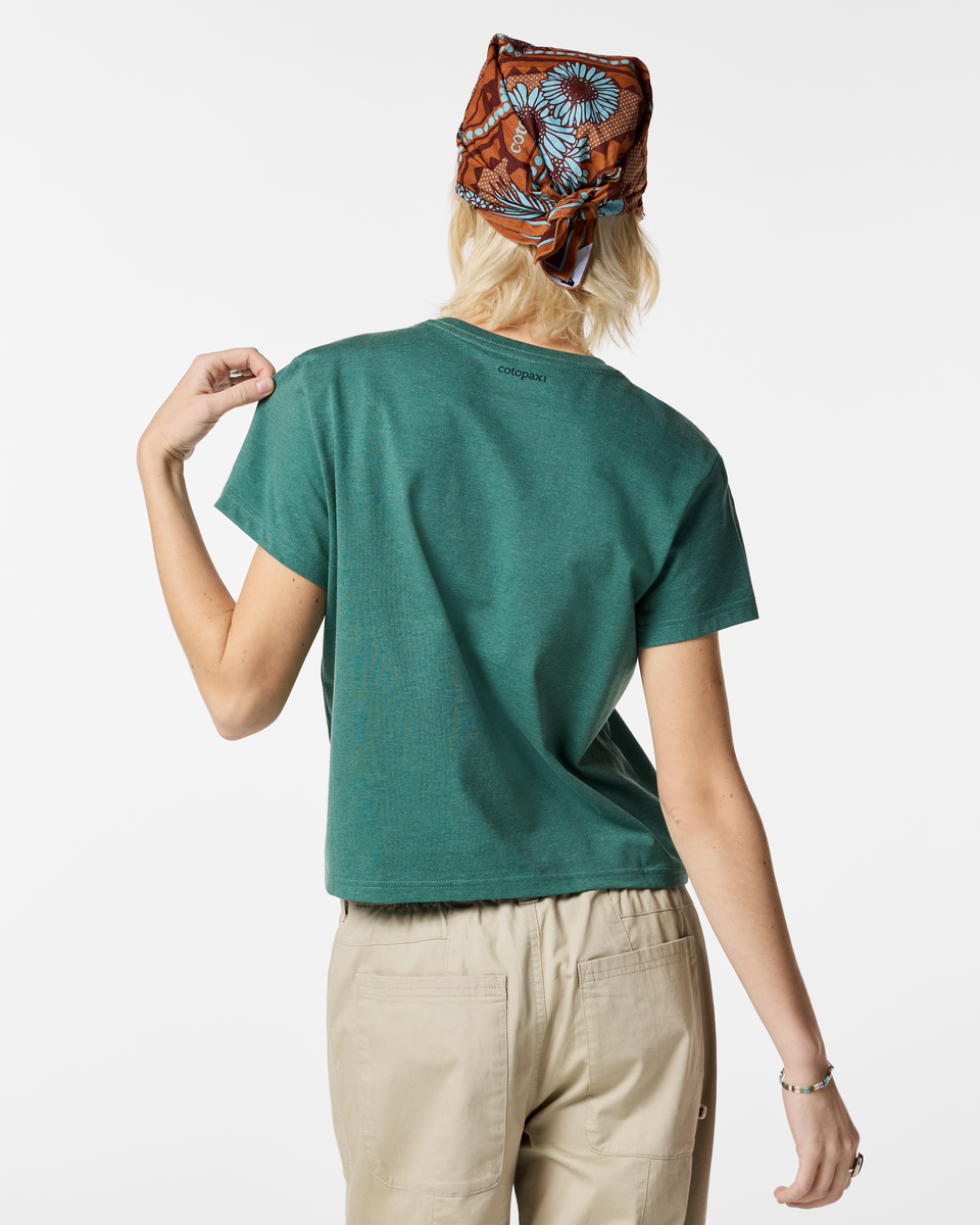 Llama Icon T-Shirt - Women's — image 12