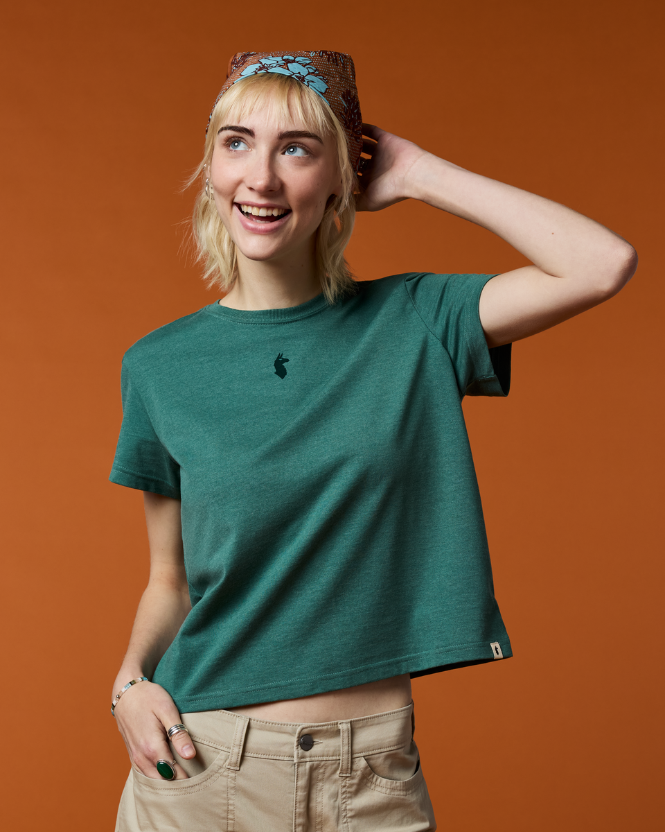 Llama Icon T-Shirt - Women's — image 16