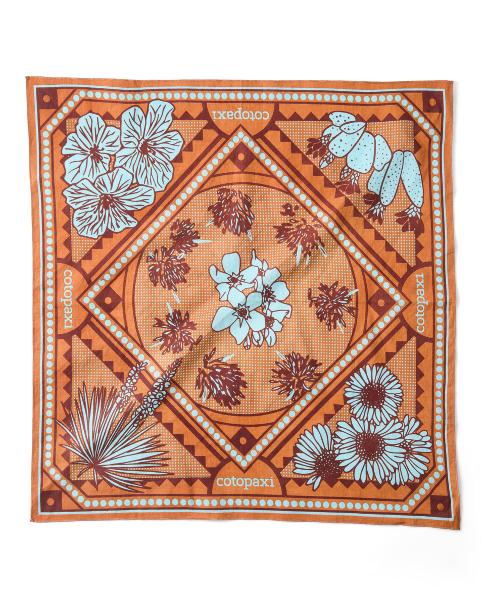 Organic Cotton Bandana — image 3