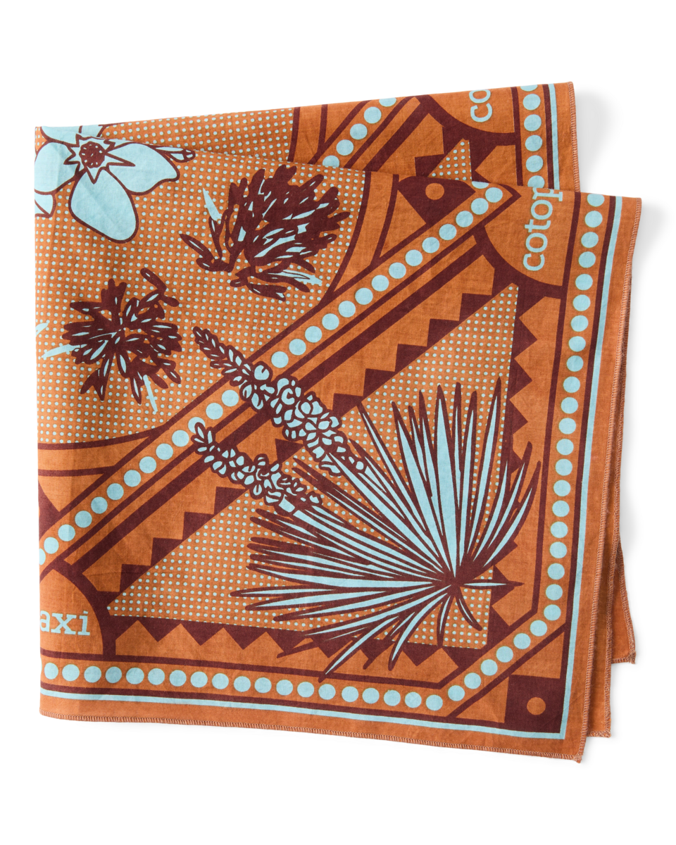 Organic Cotton Bandana — image 2
