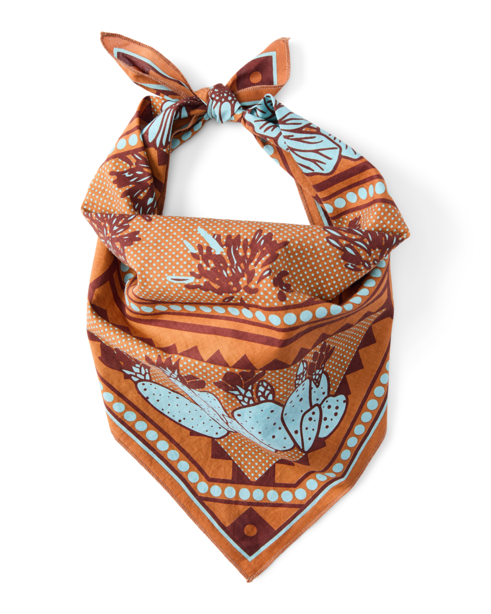 Organic Cotton Bandana — image 1