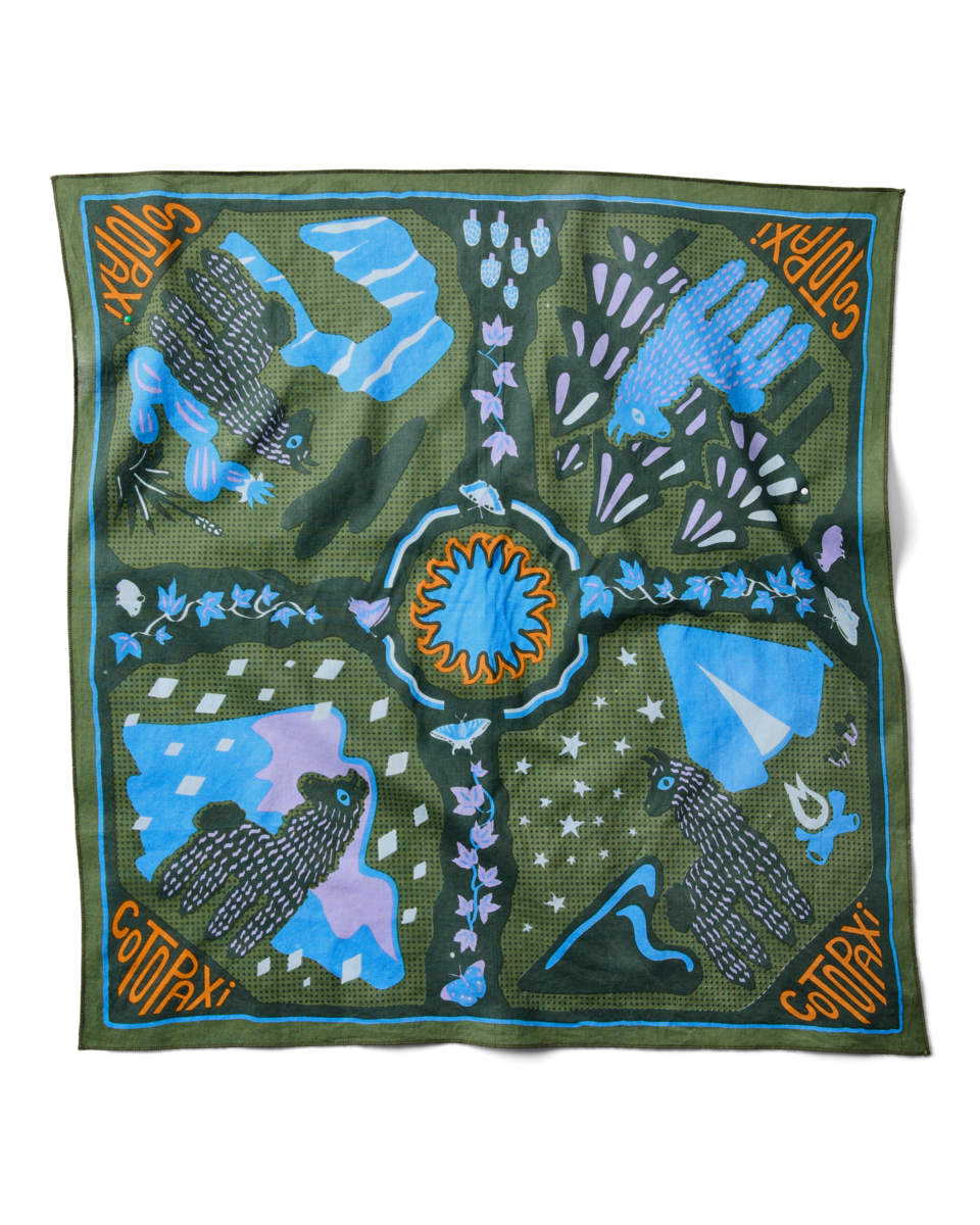 Organic Cotton Bandana — image 6