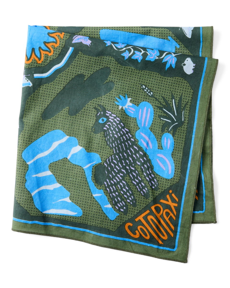 Organic Cotton Bandana — image 5
