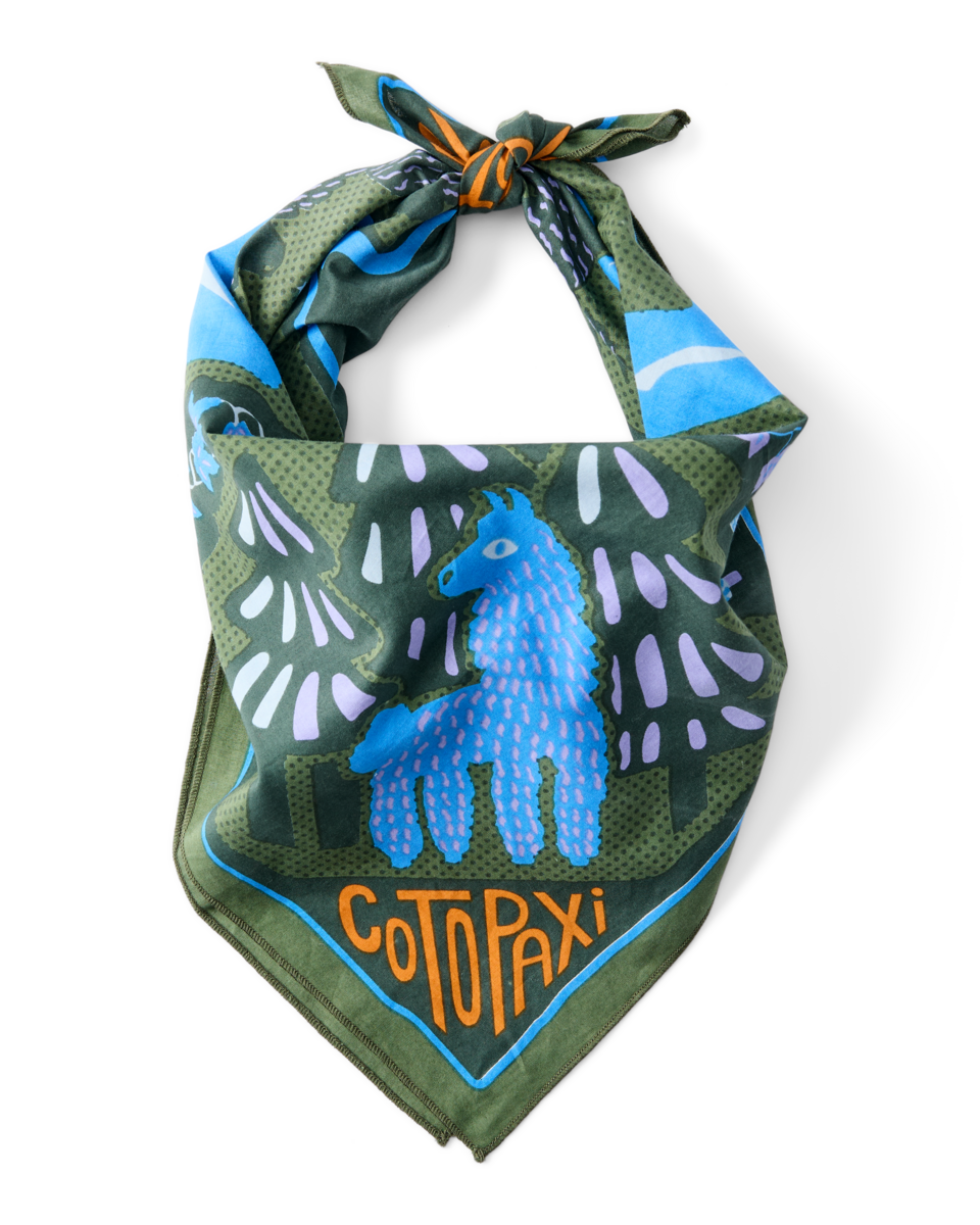 Organic Cotton Bandana — image 4